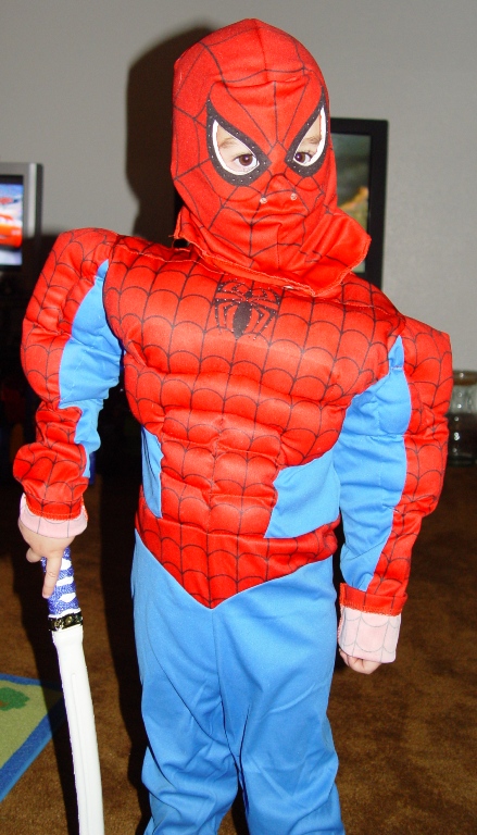 spiderman5.jpg