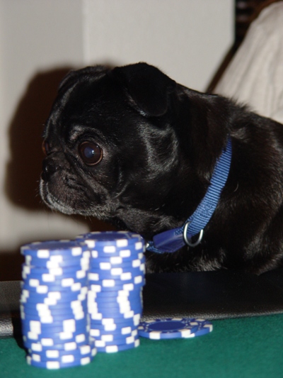Lucy plays poker
