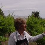 Tour Guide Pahrump Winery